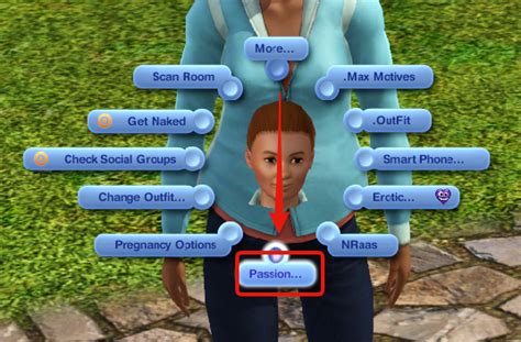 sims 3 how to install passion mod